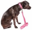 Pet Life 'Aero Mesh' 2-In-1 Dual Sided Comfortable And Breathable Adjustable Mesh Dog Leash-Collar